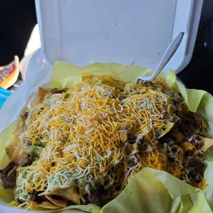 Carne Asada Nachos were delicious!