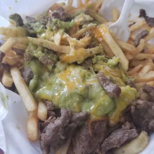 Carne Asada fries