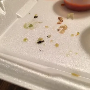 The bug that was found at the bottom of my nachos!!!