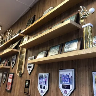 a wall of trophies