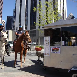 The New Food Cart