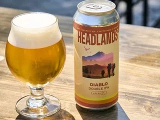 Headlands Brewing