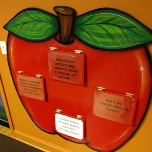 Fun activities for kids.