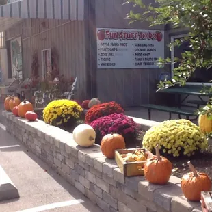 Nice on the inside and nice on the outside