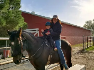 Miller Horse Farm & Riding Academy