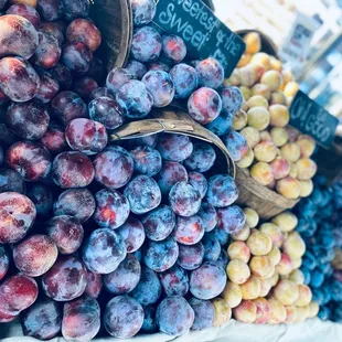 Pluots and Plums - we have over 30 varieties during the season!