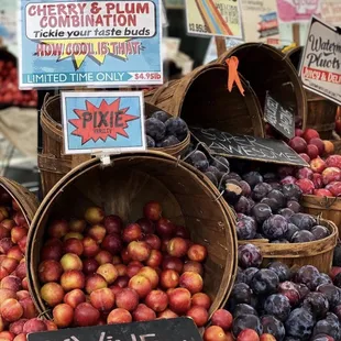 a variety of fruits for sale