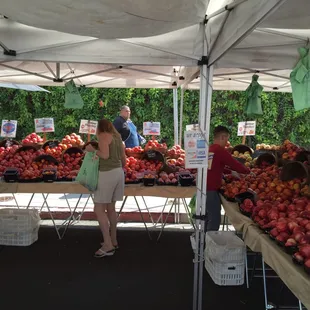 Peach section alone is massive