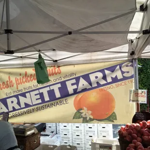 Awesome stand with multiple varieties