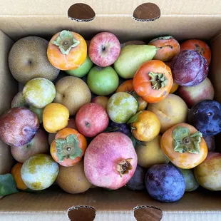 Seasonal Mixed Fruit Box - changes weekly!