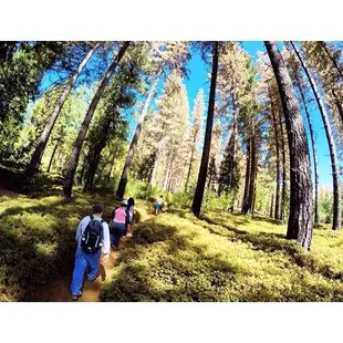 Beautiful scenery. Hiking trail was adventuress