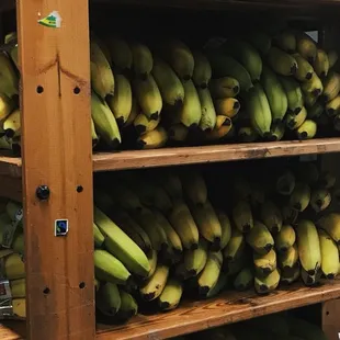 All the bananas