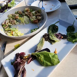 ....good sign- its all in our bellies :-) nothing to complain post about (we were hungry- food pics weren't priority LOL)