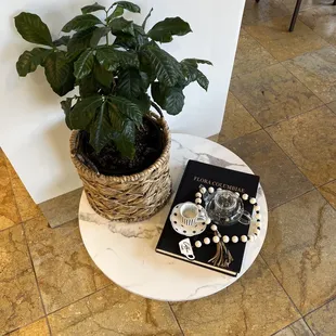 a plant and a book on a table