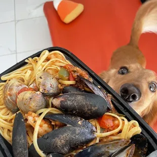oysters and mussels, food
