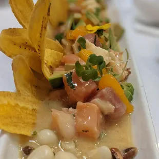 Ceviche citrico