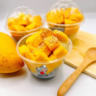 Seasonal Mango Sticky Rice