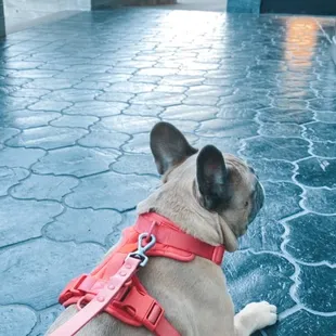 Patio outside of bar on first floor