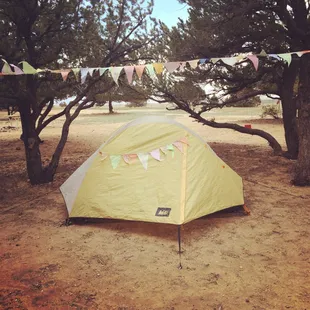Camping on May 9. It was windy/rainy, but we still had a great time!