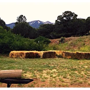 View from backyard of Cottage 2. Beautiful.