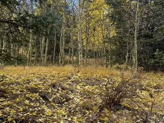 The Crags Campground