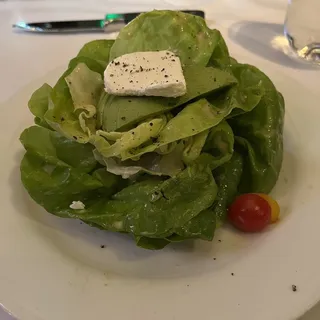 Holland America Farms Bibb Lettuce