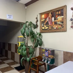 a picture of a kitchen with a plant in the corner