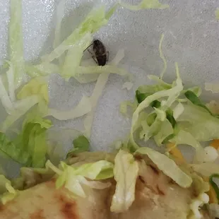 Cockroach in food.