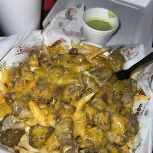 Chili verde fries. Full order