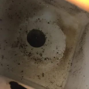 This is how dirty this restaurant is