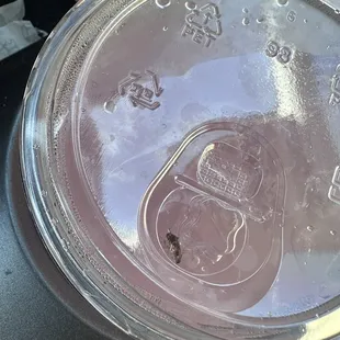 A BUG IN THE LEMONADE