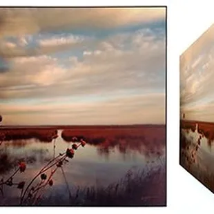 Plaque Wood Mounts ready to hang.