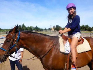 Art, Equine and More