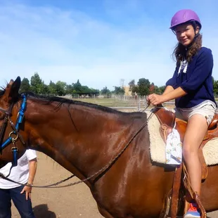 Art, Equine and More