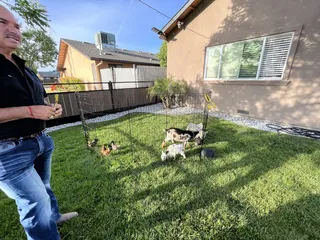 Chavez Miniature Petting Zoo