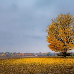 Photograph by Ken Rabbers