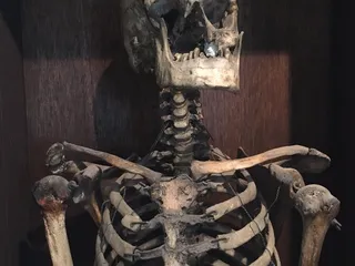 Dr. William D. Hutchings Office & Hospital