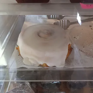 Massive cinnamon roll!