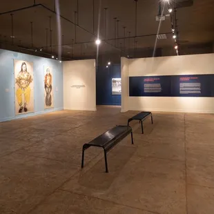 Yolanda Lopez: Portrait of the Artist Exhibition