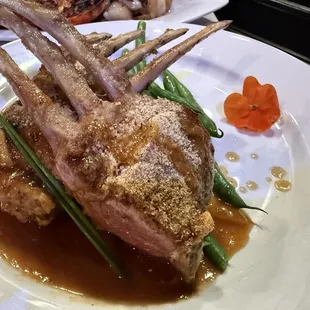 Rack of Lamb