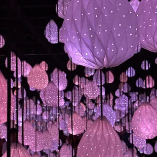 Star room