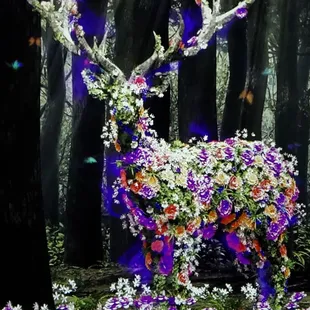 In the mythological forest