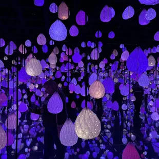 The Star room.