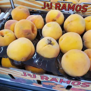 Mildew on the fruits