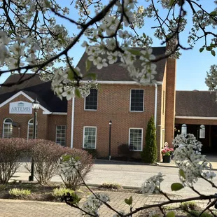 Artemis Mediterranean Bistro