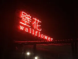 Wallflower