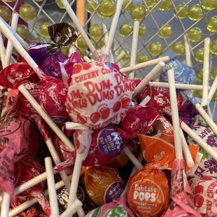 Descriptive of the young hostess today!