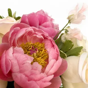 The first peonies of the season are in the shop!