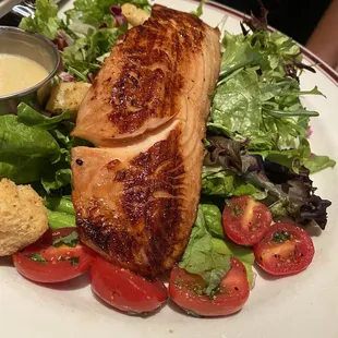 Short Smoked Grilled Salmon Salad