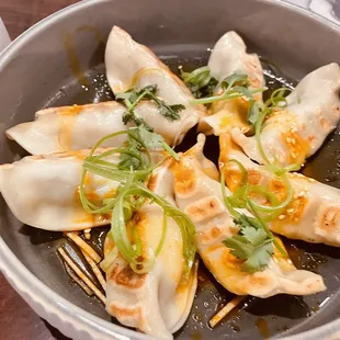 Large potstickers